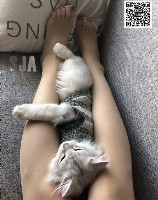破处网站_电视剧完整版在线观看